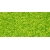 Toho Transparent Lime Green 15/0 5g.