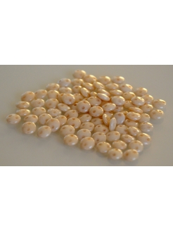 Lentil  Opaque - Luster Champagne 6mm, 40pcs.