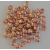 Lentil Apollo Gold, 6mm, 40pcs.