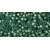 TOHO Frosted Gold-Lined Aqua 11/0 10g