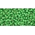 TOHO Permafinish - Matte Galvanized Green Apple 11/0, 10g