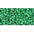 TOHO Permafinish -  Galvanized Spring Green 11/0, 10g