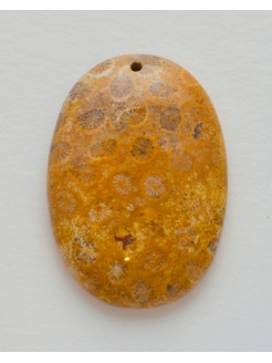 Coral Fossil Pendant Bead