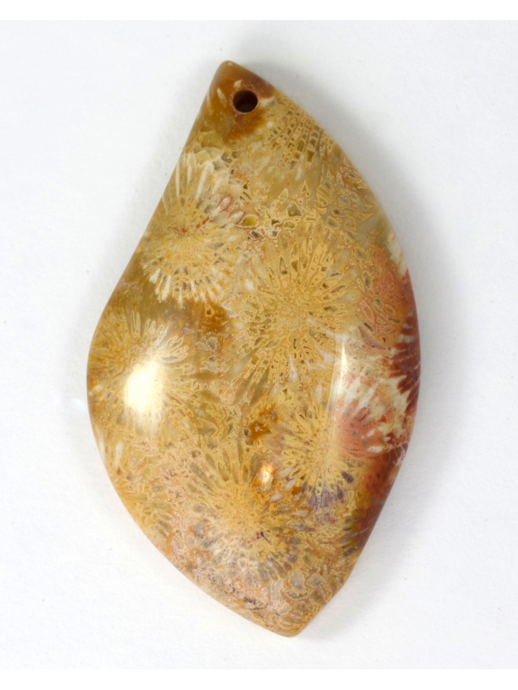 Coral Fossil Pendant Bead