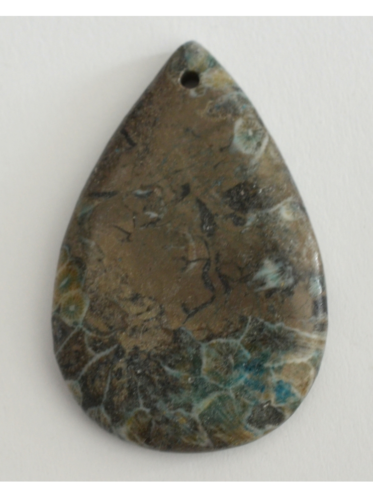 Coral Fossil Pendant Bead
