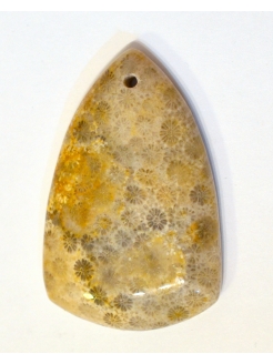 AMMONITE FOSSIL PENDANT BEAD