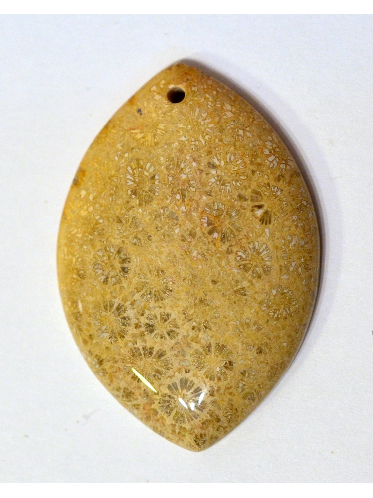 Ammonite Fossil Pendant Bead