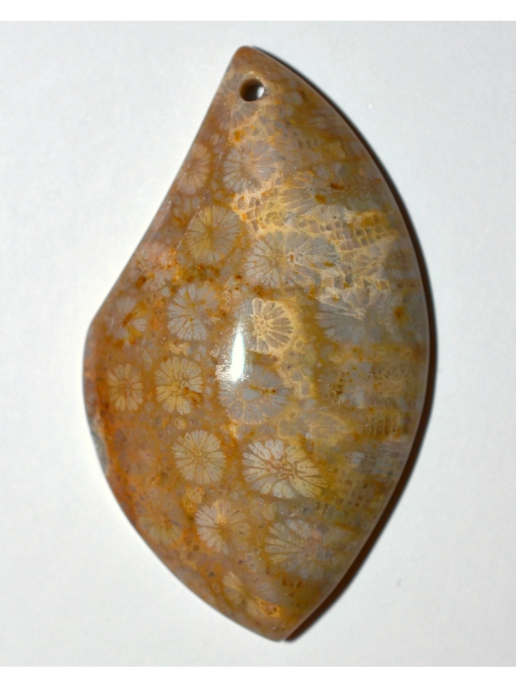 Ammonite Fossil Pendant Bead