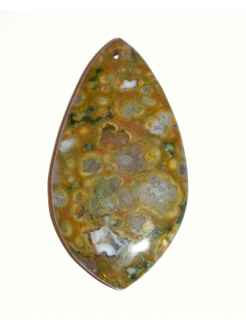 Kambaba Jasper Pendant Bead