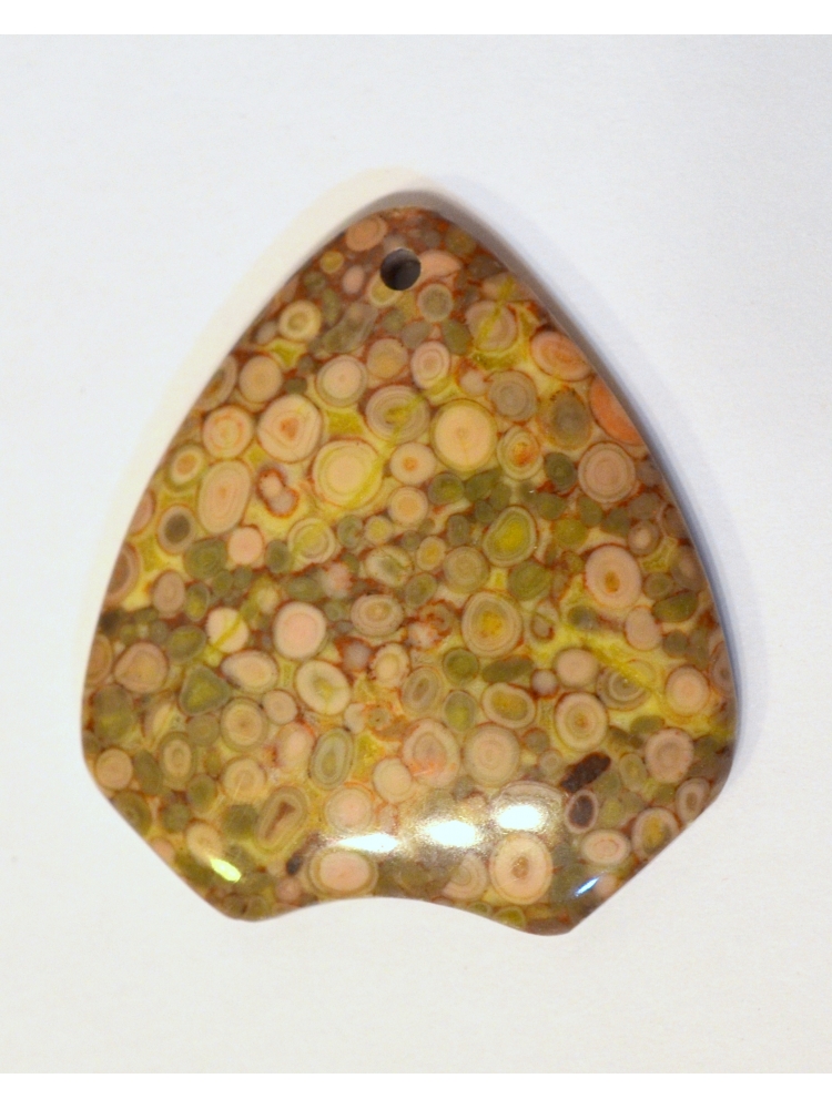 Ammonite Fossil Pendant Bead