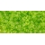 TOHO Transparent Lime Green 8/0 10g