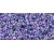 TOHO  Inside-Color Rainbow Crystal/Metallic Purple-Lined 11/0 10g.