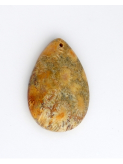 Coral Fossil Pendant Bead