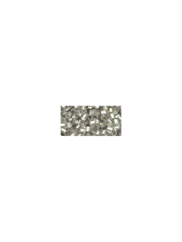 TH-08-21F TOHO Šešiakampis Skaidrus, sidabro sp.(Silver-Lined Frosted Crystal) 08/0 10g.