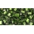 TOHO Cube Siver-Lined Olivine 3mm 10g.