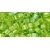 TOHO Cube Transparent Rainbow Lime Green 3mm 10g.